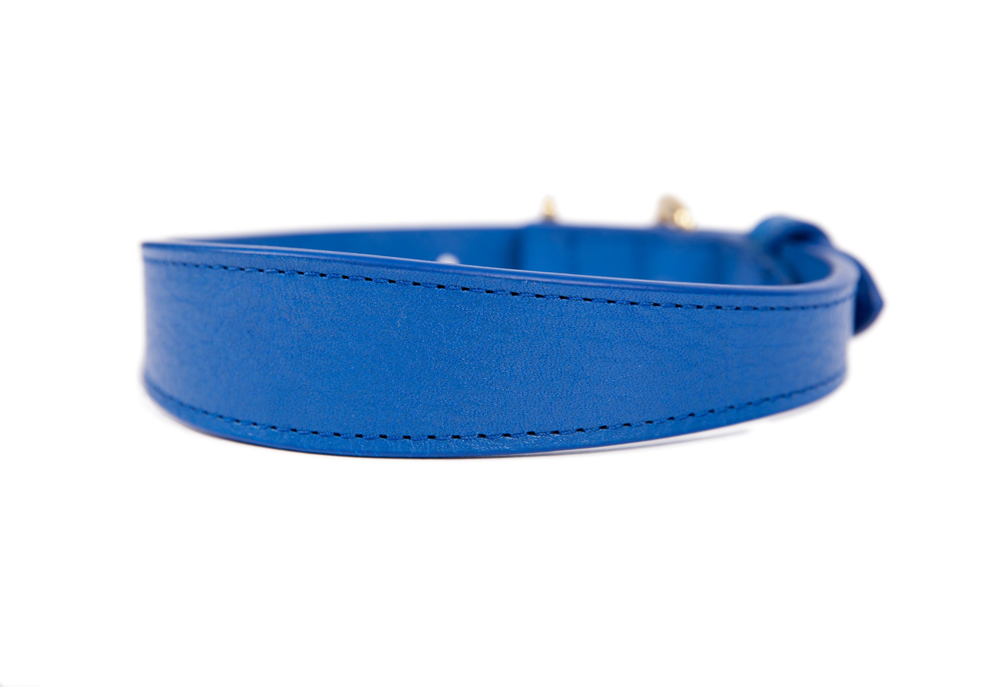 Large Leather Dog Collar Electric Blue