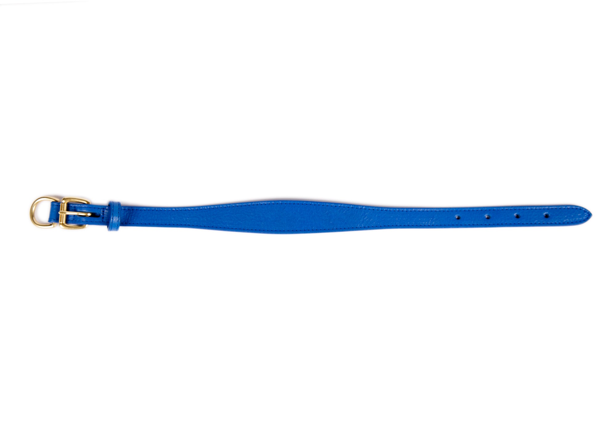 Small Leather Dog Collar Electric Blue