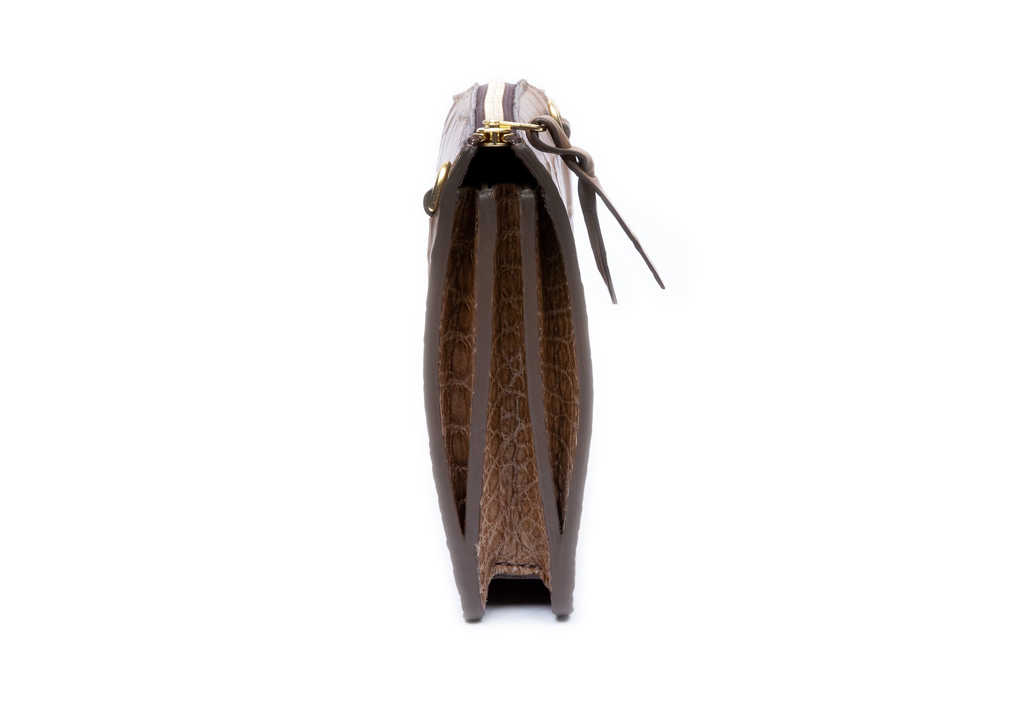 Clay American Alligator Tripp Clay Alligator