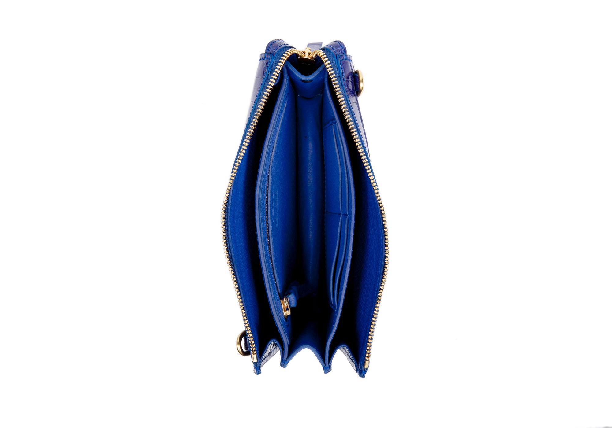 The American Alligator Tripp Electric Blue Alligator